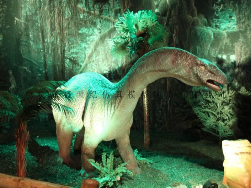 蜀龙 恐龙租赁 仿真恐龙出售 恐龙展览