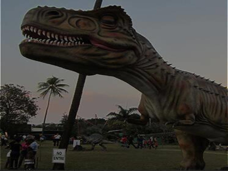 龙盛世纪宣传视频