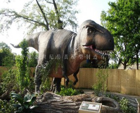 新西兰恐龙科普展 自贡龙盛世纪-恐龙出售 恐龙出租