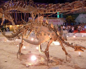 剑龙化石 恐龙骨架
