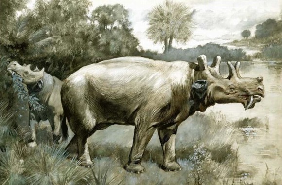 泰坦级哺乳动物——尤因它兽（恐角兽）