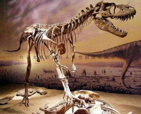 霸王龙化石 化石骨架