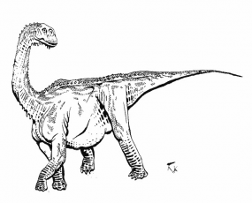 外表酷似鲸龙的恐龙_巴塔哥尼亚龙