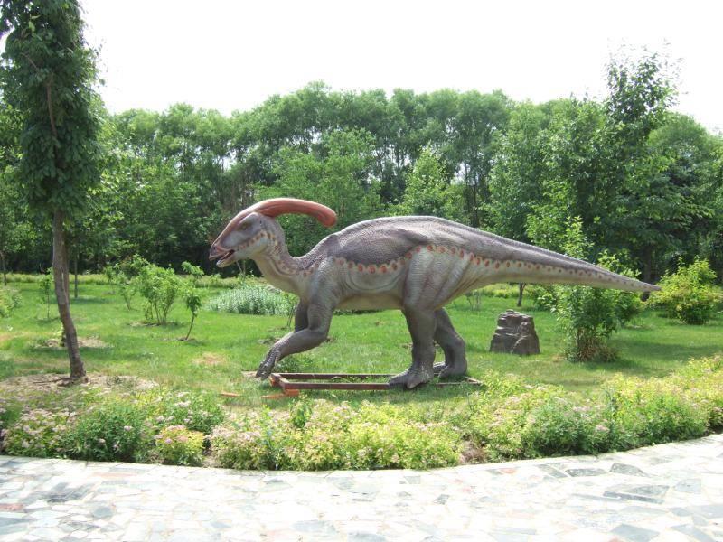 副栉龙  仿真恐龙 