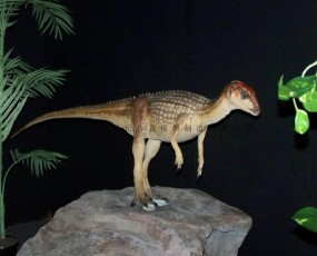 小盾龙 恐龙租赁 仿真恐龙出售 恐龙展览