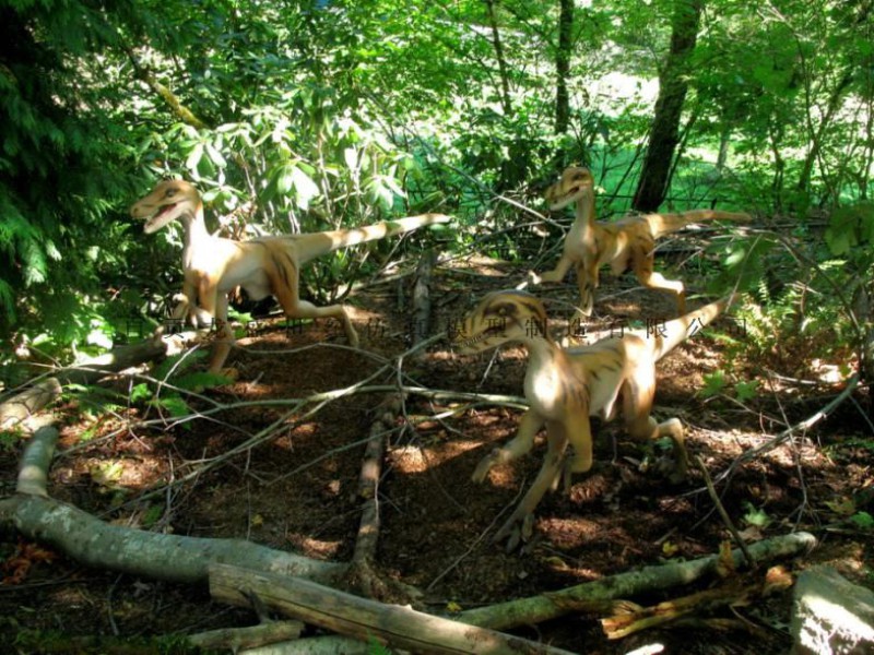 伤齿龙 恐龙租赁 仿真恐龙出售 恐龙展览