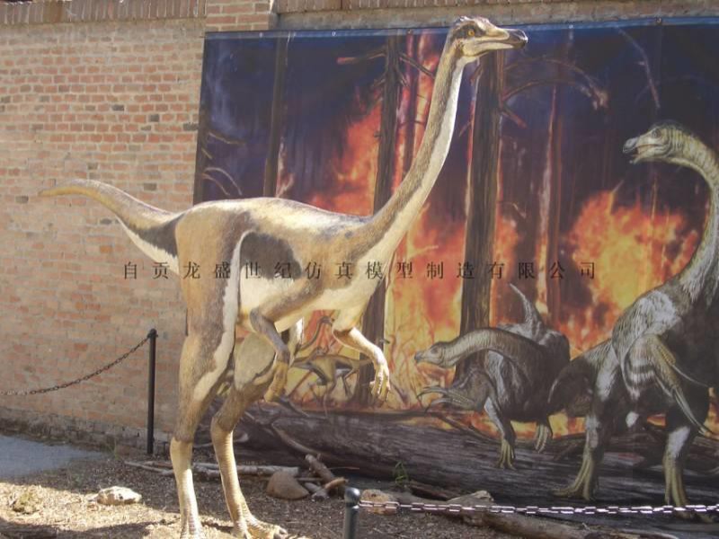 似鸡龙 恐龙租赁 仿真恐龙出售 恐龙展览