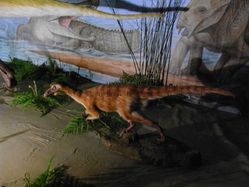 始盗龙 恐龙租赁 仿真恐龙出售 恐龙展览