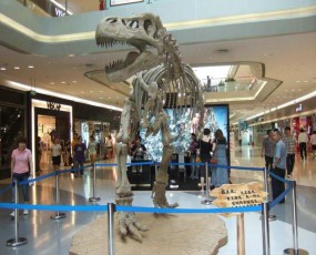 郑州360广场活动 仿真恐龙主题展览 化石骨架