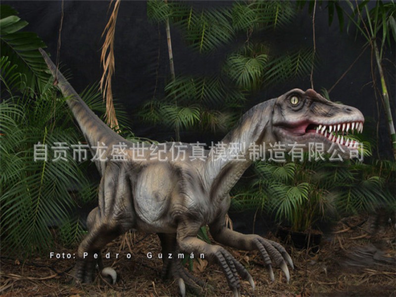 迅猛龙 恐龙租赁 仿真恐龙出售 恐龙展览