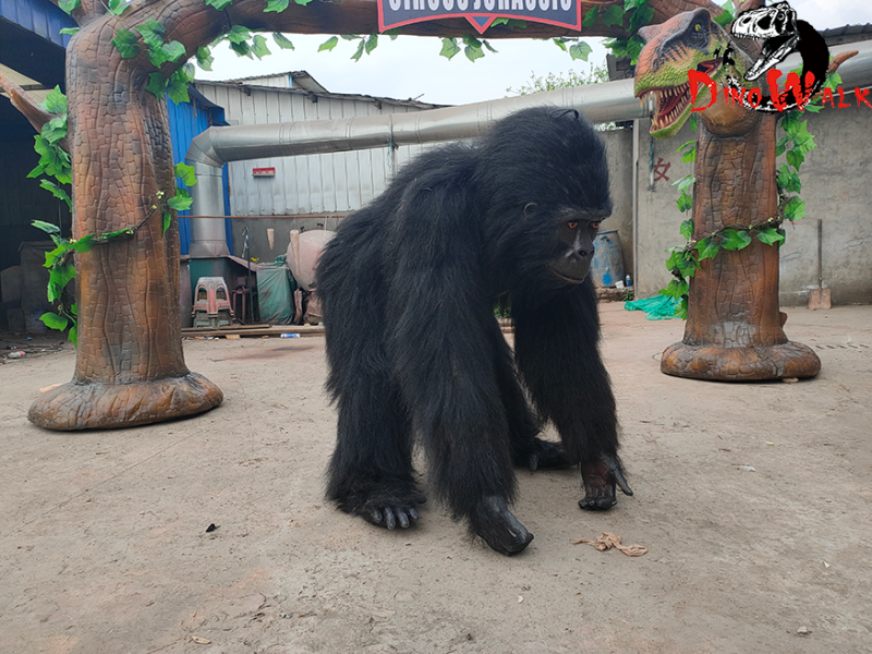 猩猩衣服完工运行视频