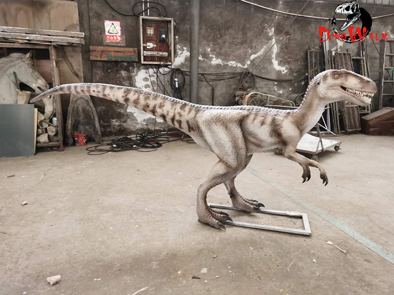 仿真恐龙模型_尖尾龙