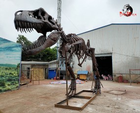 12米霸王龙化石骨架