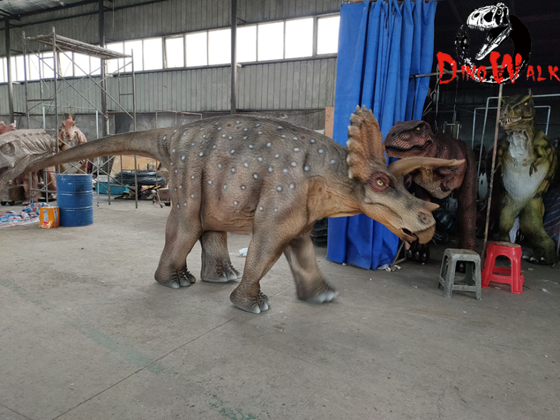 三角龙皮套完工运行视频