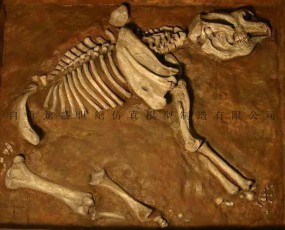 恐龙化石 考古发掘 骨架骨堆