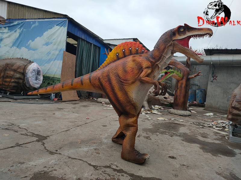 脊背龙皮套完工运行视频