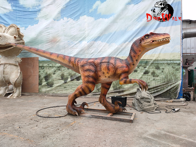 迅猛龙运行视频