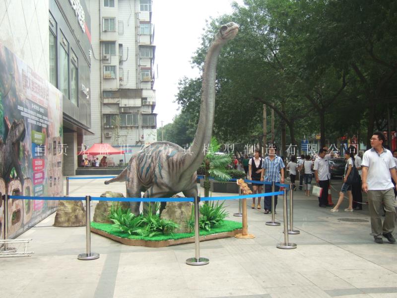 峨眉龙 恐龙租赁 仿真恐龙出售 恐龙展览