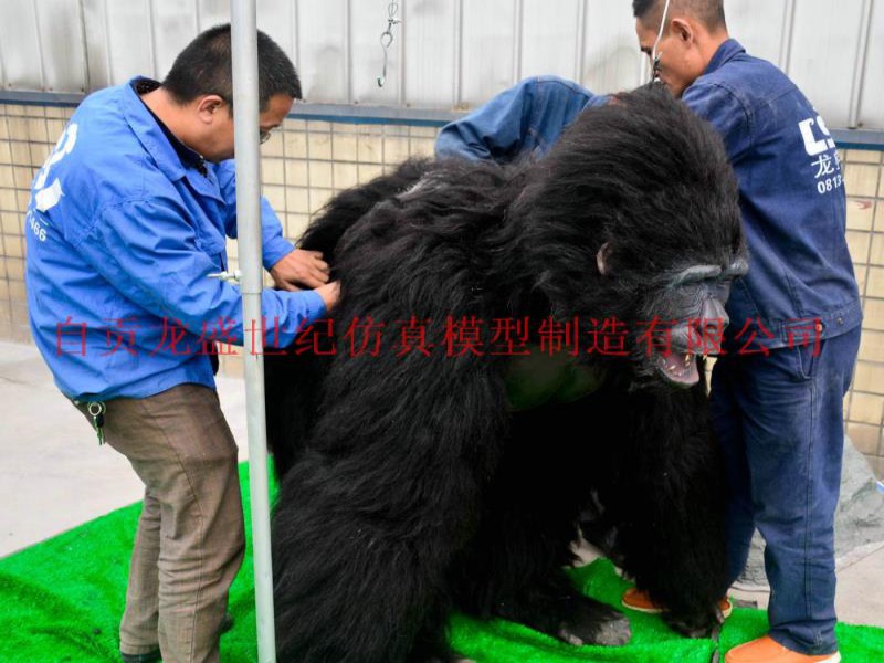 人穿猩猩服 猩猩皮套表演