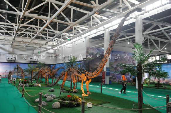 恐龙化石展览.jpg